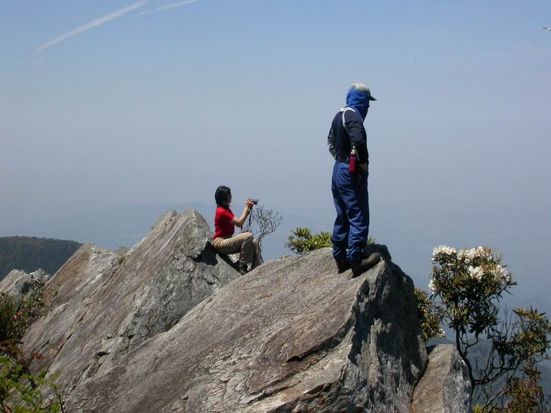 按此在新視窗瀏覽圖片