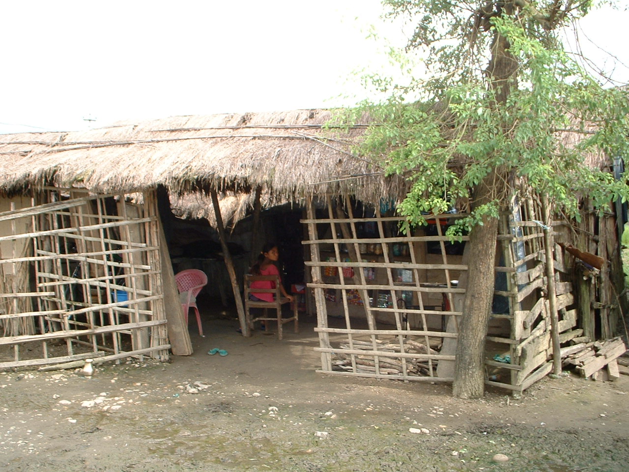 按此在新視窗瀏覽圖片