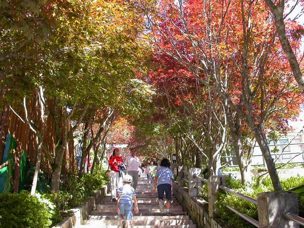 按此在新視窗瀏覽圖片