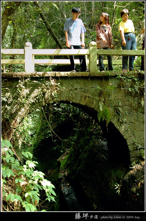 按此在新視窗瀏覽圖片