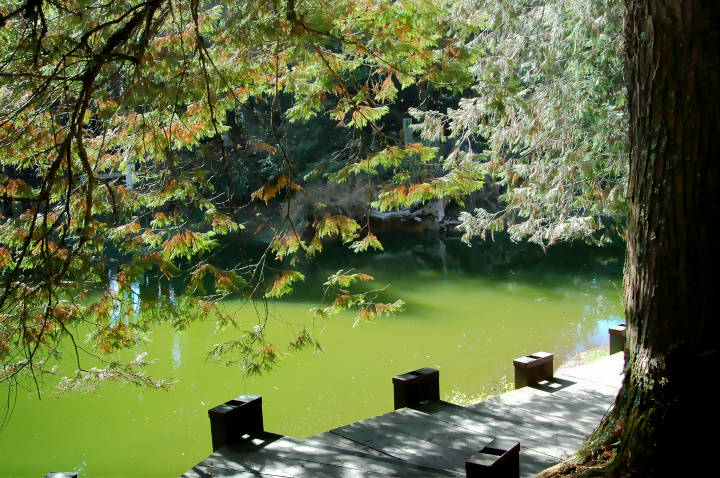 按此在新視窗瀏覽圖片