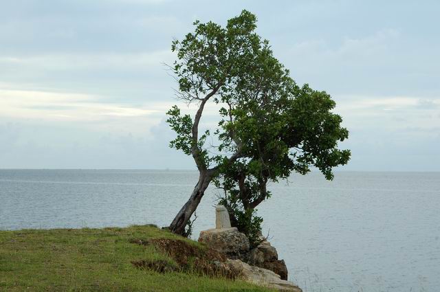 按此在新視窗瀏覽圖片