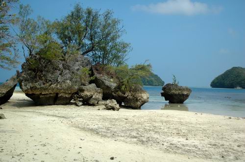 按此在新視窗瀏覽圖片