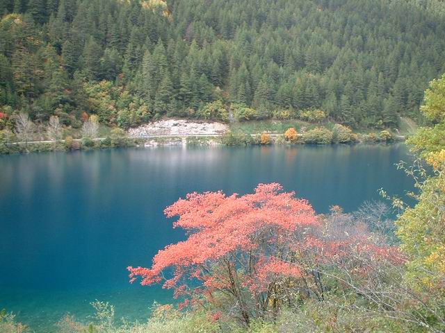 按此在新視窗瀏覽圖片