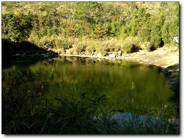 按此在新視窗瀏覽圖片