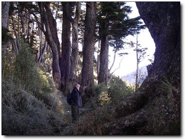 按此在新視窗瀏覽圖片