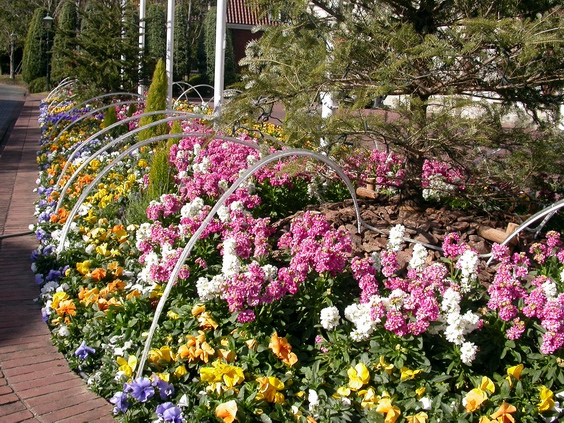 按此在新視窗瀏覽圖片