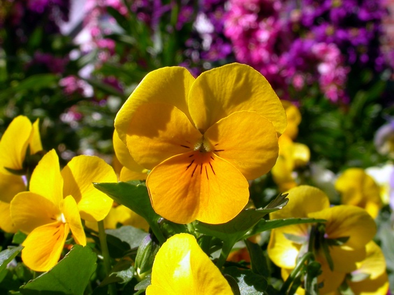 按此在新視窗瀏覽圖片