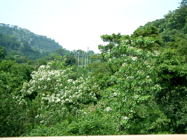 «ö¦¹¦b·sµøµ¡ÂsÄý¹Ï¤ù