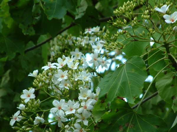 «ö¦¹¦b·sµøµ¡ÂsÄý¹Ï¤ù