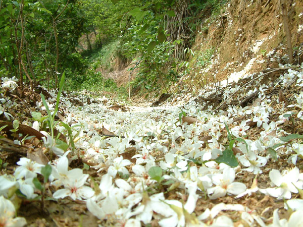 «ö¦¹¦b·sµøµ¡ÂsÄý¹Ï¤ù