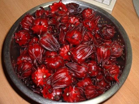 «ö¦¹¦b·sµøµ¡ÂsÄý¹Ï¤ù