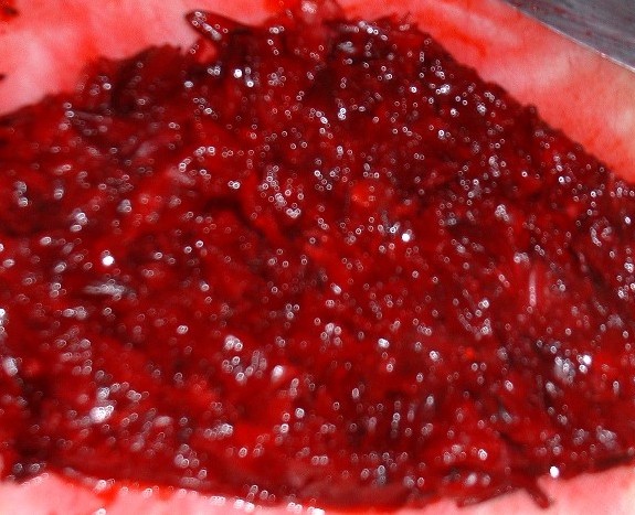 «ö¦¹¦b·sµøµ¡ÂsÄý¹Ï¤ù