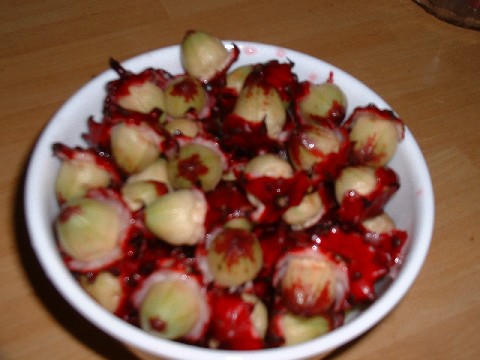 «ö¦¹¦b·sµøµ¡ÂsÄý¹Ï¤ù