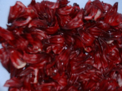 «ö¦¹¦b·sµøµ¡ÂsÄý¹Ï¤ù