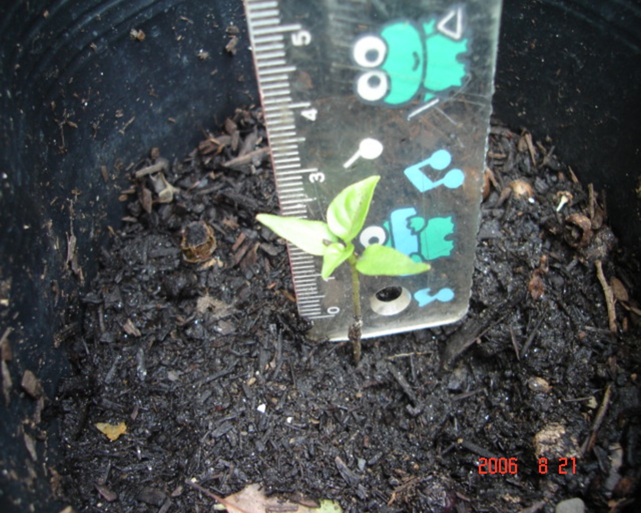 «ö¦¹¦b·sµøµ¡ÂsÄý¹Ï¤ù