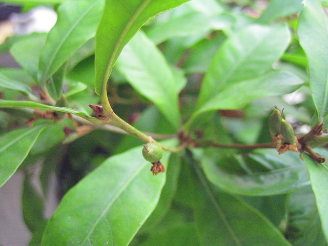 «ö¦¹¦b·sµøµ¡ÂsÄý¹Ï¤ù