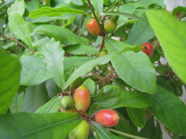 «ö¦¹¦b·sµøµ¡ÂsÄý¹Ï¤ù