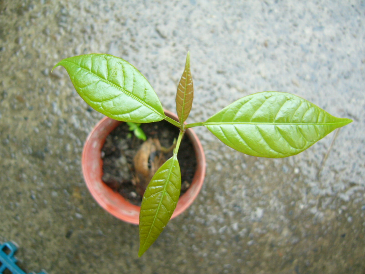 «ö¦¹¦b·sµøµ¡ÂsÄý¹Ï¤ù