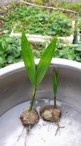 «ö¦¹¦b·sµøµ¡ÂsÄý¹Ï¤ù