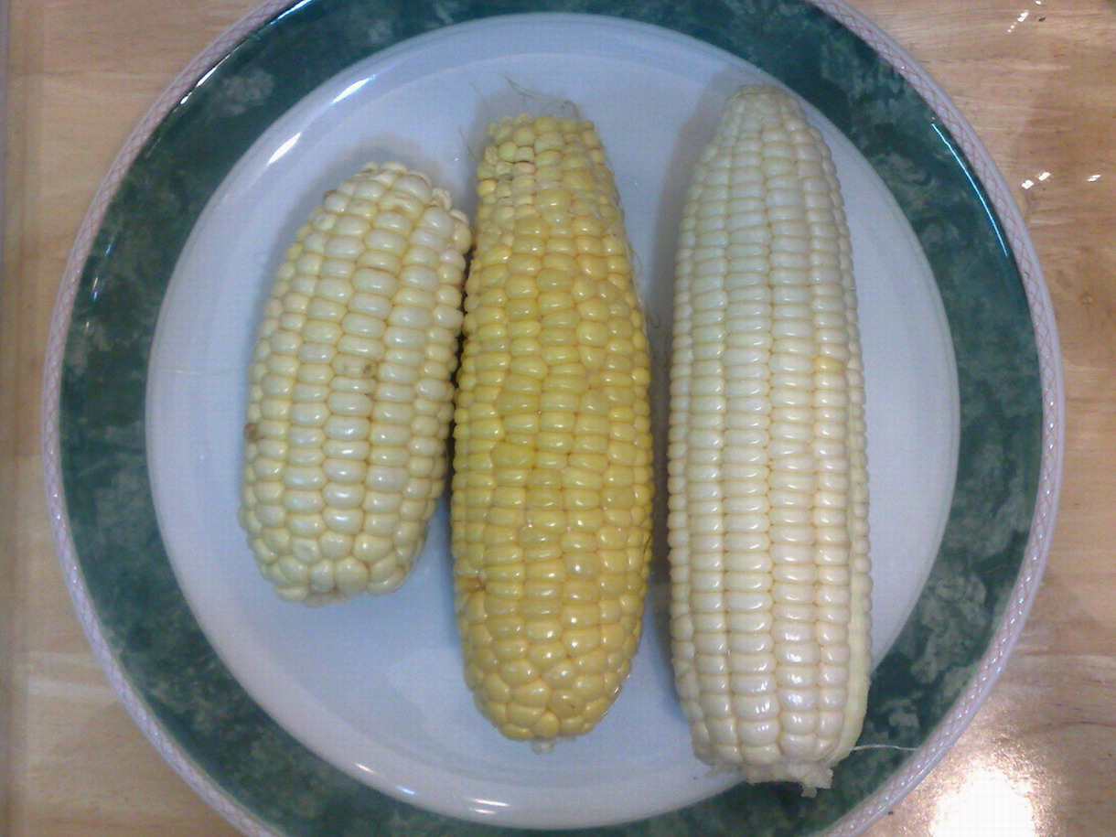 «ö¦¹¦b·sµøµ¡ÂsÄý¹Ï¤ù