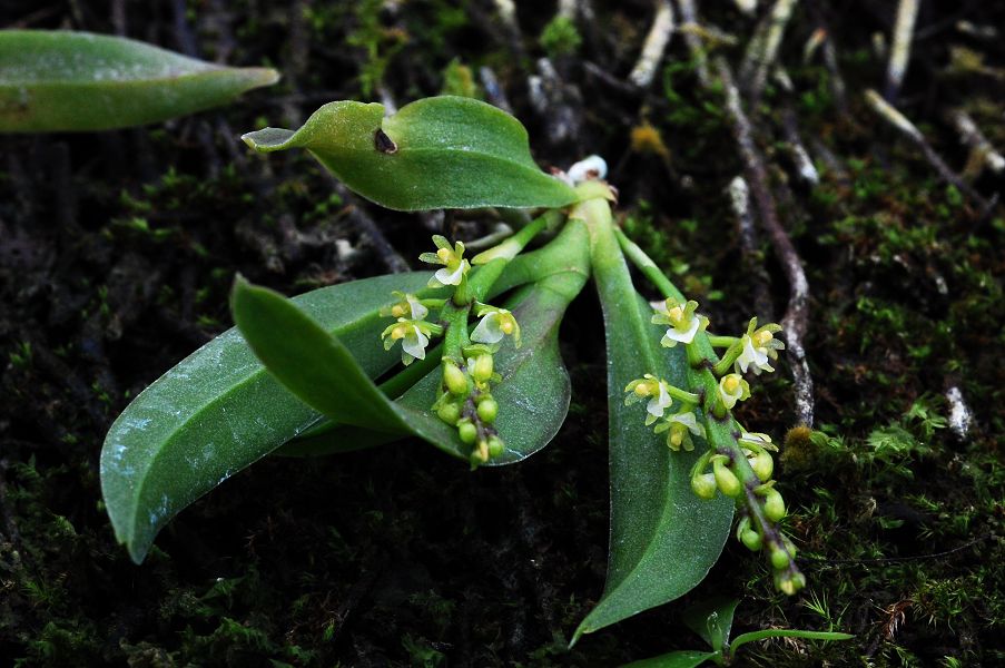 «ö¦¹¦b·sµøµ¡ÂsÄý¹Ï¤ù