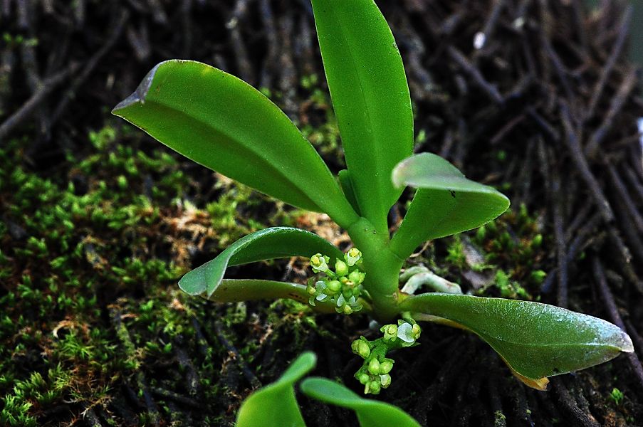 «ö¦¹¦b·sµøµ¡ÂsÄý¹Ï¤ù