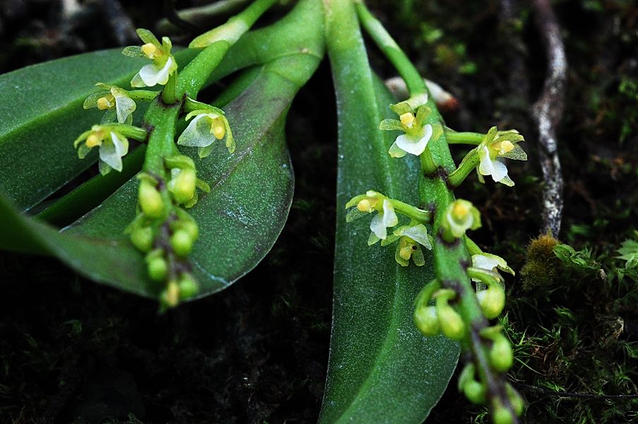 «ö¦¹¦b·sµøµ¡ÂsÄý¹Ï¤ù