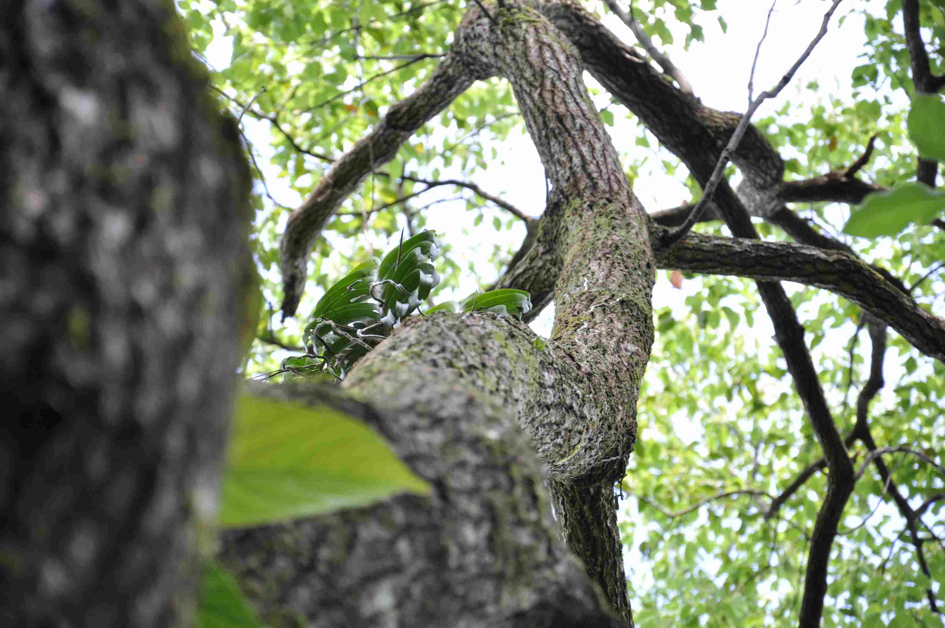 按此在新視窗瀏覽圖片