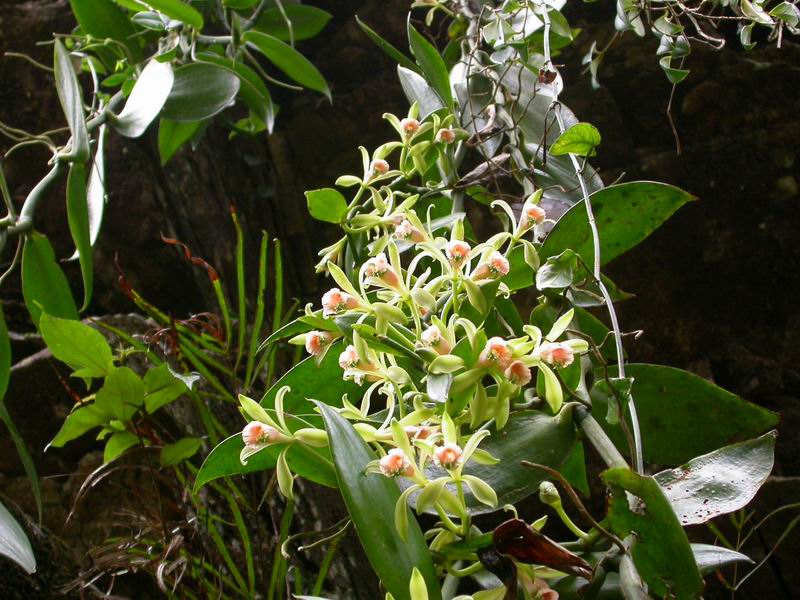 «ö¦¹¦b·sµøµ¡ÂsÄý¹Ï¤ù