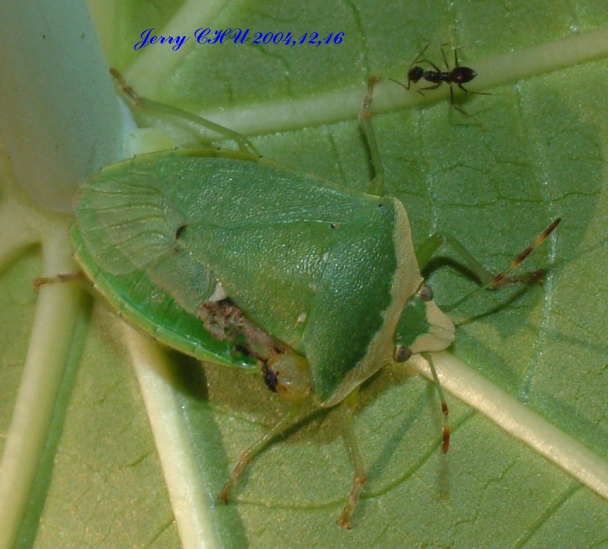 按此在新視窗瀏覽圖片