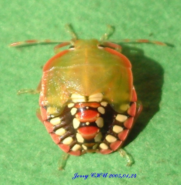 按此在新視窗瀏覽圖片