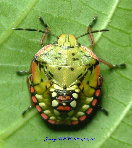 按此在新視窗瀏覽圖片