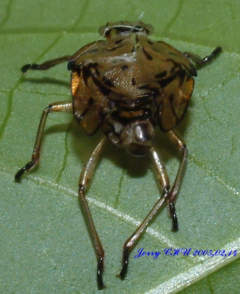 按此在新視窗瀏覽圖片