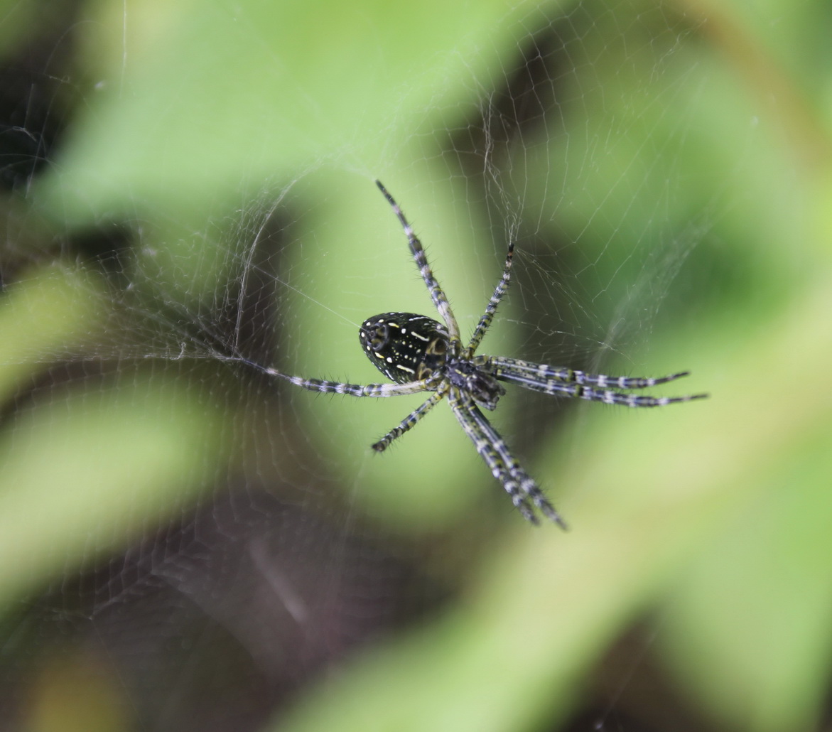 «ö¦¹¦b·sµøµ¡ÂsÄý¹Ï¤ù