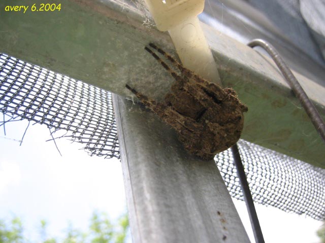 «ö¦¹¦b·sµøµ¡ÂsÄý¹Ï¤ù