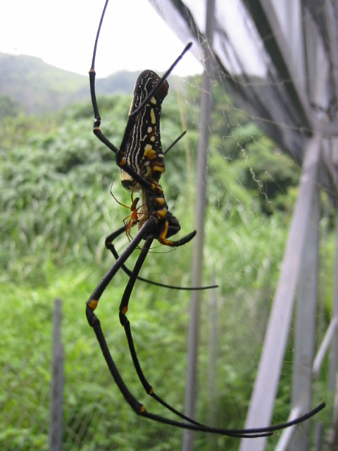按此在新視窗瀏覽圖片