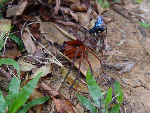 按此在新視窗瀏覽圖片
