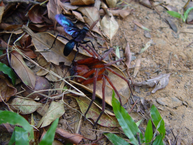 按此在新視窗瀏覽圖片