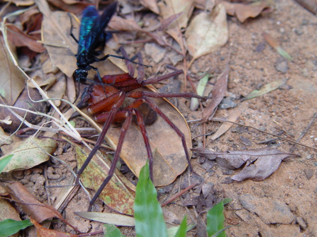 按此在新視窗瀏覽圖片