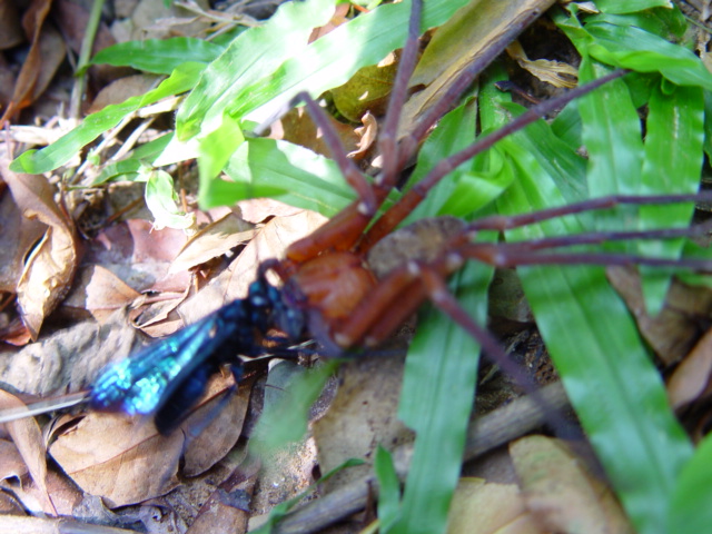 按此在新視窗瀏覽圖片