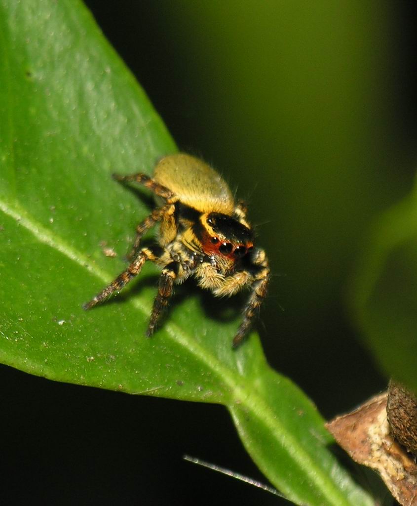 按此在新視窗瀏覽圖片
