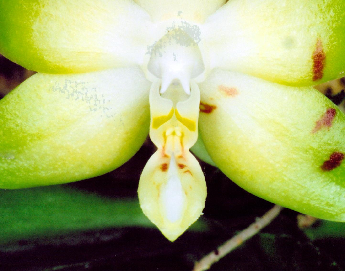 按此在新視窗瀏覽圖片