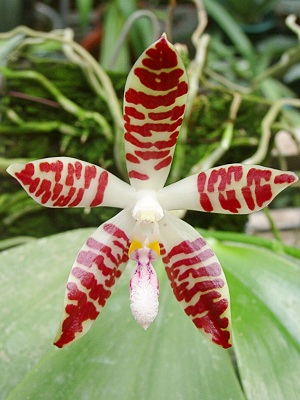 按此在新視窗瀏覽圖片