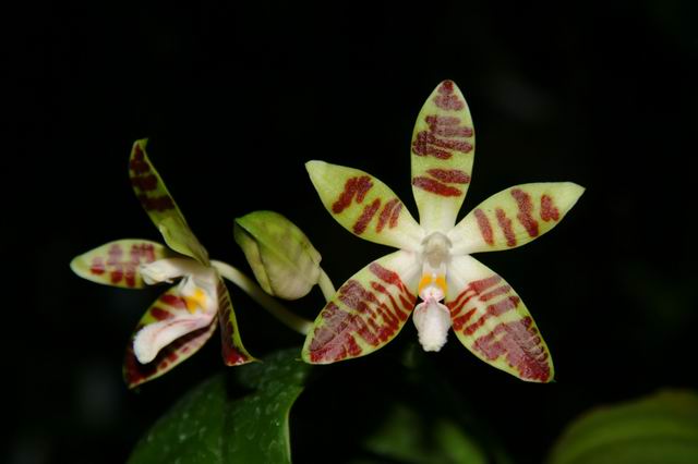 按此在新視窗瀏覽圖片