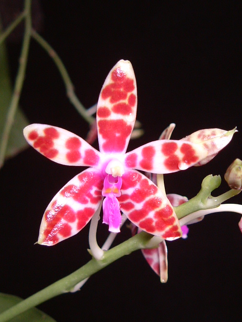 按此在新視窗瀏覽圖片