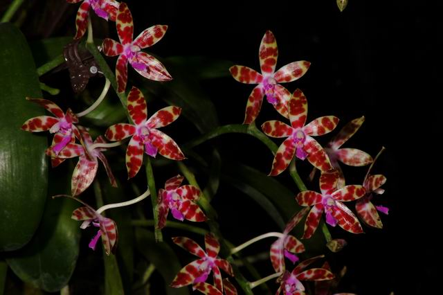 按此在新視窗瀏覽圖片