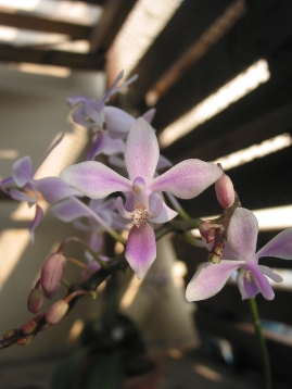 按此在新視窗瀏覽圖片