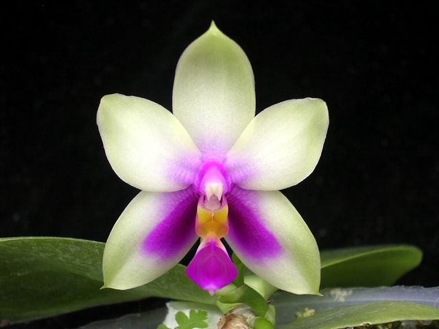 按此在新視窗瀏覽圖片