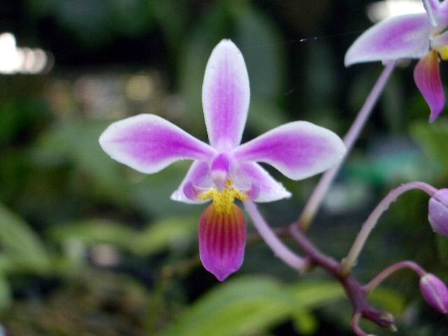 按此在新視窗瀏覽圖片